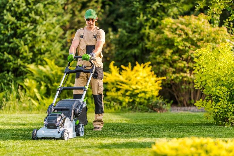 Worker mowing a green lawn with a push mower